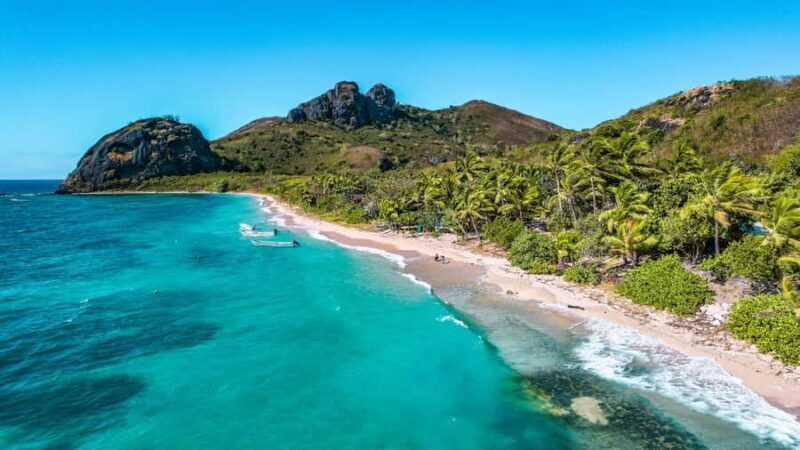 Fiji: Ultimate Encounters Snorkel with Sharks and Lunch - Practical Tips for the Day