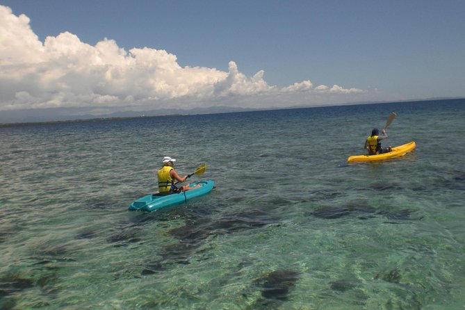 Fijian Islands and Snorkel Full-Day Whales Tale Cruise Including Beach BBQ Lunch - Additional Information
