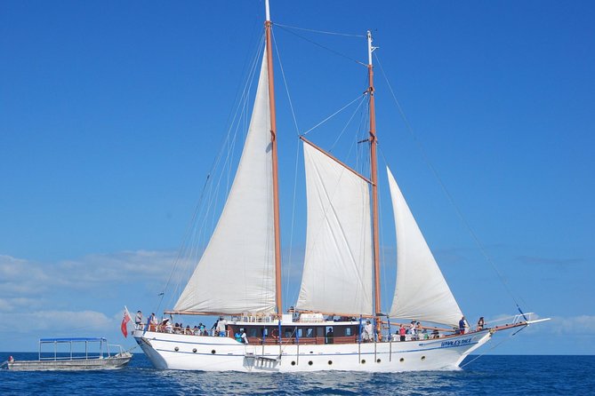 Fijian Islands and Snorkel Full-Day Whales Tale Cruise Including Beach BBQ Lunch - Common Questions