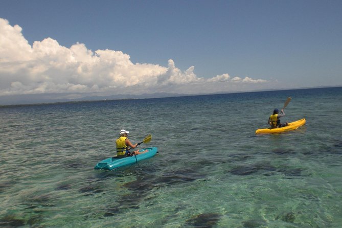Fijian Islands and Snorkel Full-Day Whales Tale Cruise Including Beach BBQ Lunch - The Sum Up