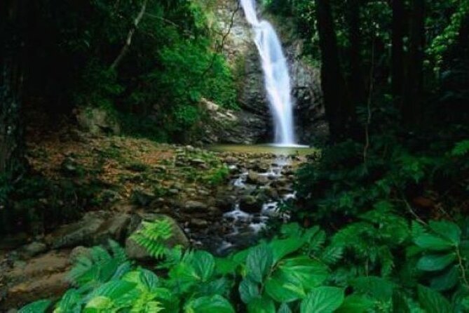 Fijis Ultimate Adventure: Waterfall & Beach Bliss! - Unwind and Relax in Fijis Beach Paradise