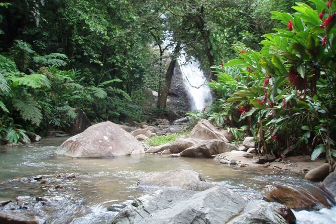 Fijis Ultimate Adventure: Waterfall & Beach Bliss! - The Sum Up