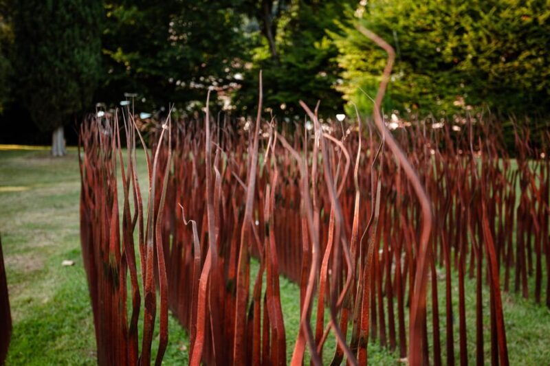 FILANDETTA PARK WINE & ART FARM: FOUNDER'S TOUR - Who Will Love This Tour?