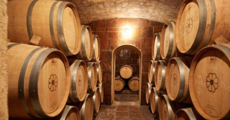 Finca Viladellops: Eco-Tour Through Vineyards and Winemaking - Eco-Tour Booking Details