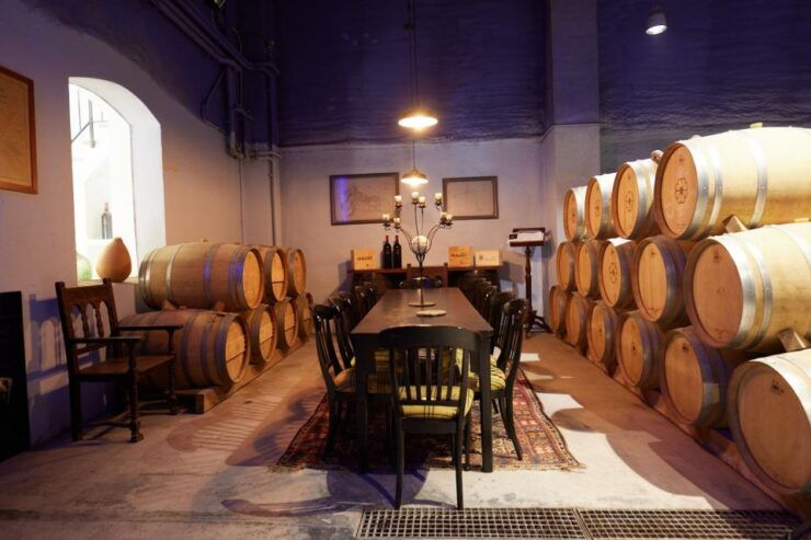 Finca Viladellops: Eco-Tour Through Vineyards and Winemaking - Experience Highlights at Finca Viladellops