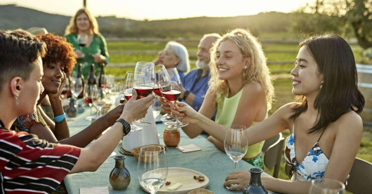 Finca Viladellops: Premium Wine Tasting Experience - Activity Details