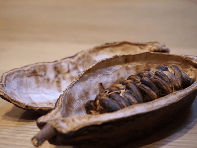 Fine Chocolate Tasting in Turin - What to Expect from Your Chocolate Tasting Tour in Turin