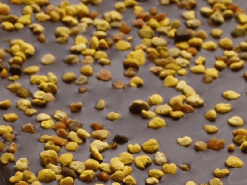 Fine Chocolate Tasting in Turin - The Experience’s Value and Practical Details