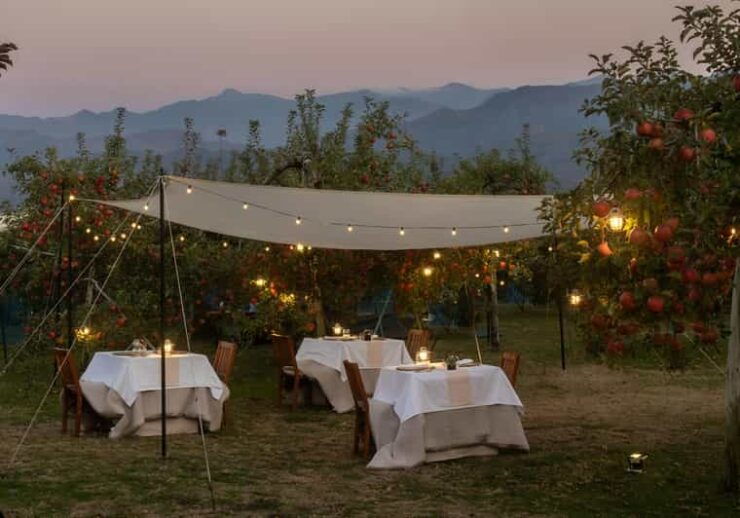 Fine Dining Experience Inside an Orchard in Nagano - Culinary Highlights
