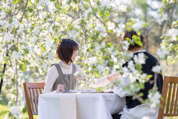 Fine Dining Experience Inside an Orchard in Nagano - Souvenirs and Farm Shop