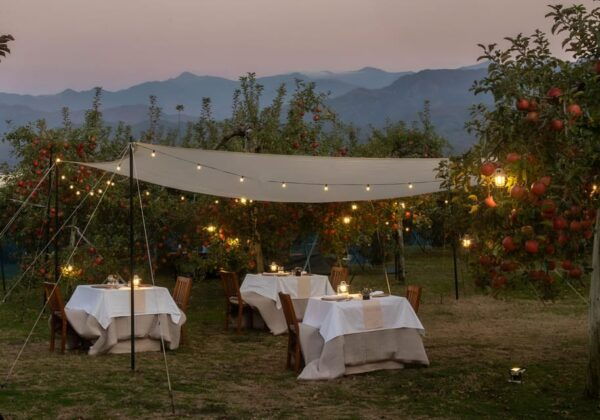 Fine Dining Experience Inside an Orchard in Nagano - Booking and Cancellation Policy