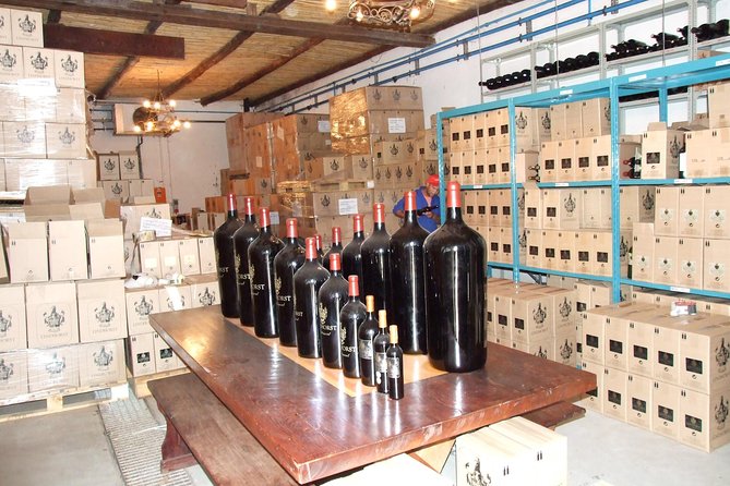 Fine Wines & Vines Full Day Tour - Tour Overview and Inclusions