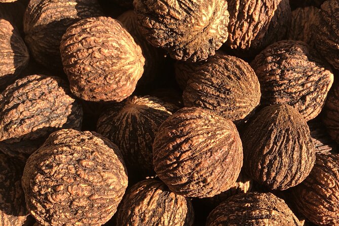 Finger Lakes Guided Black Walnut Tour With Tasting and Hay Ride - Meeting and Pickup