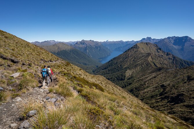 Fiordland Heli-hike - Inclusions