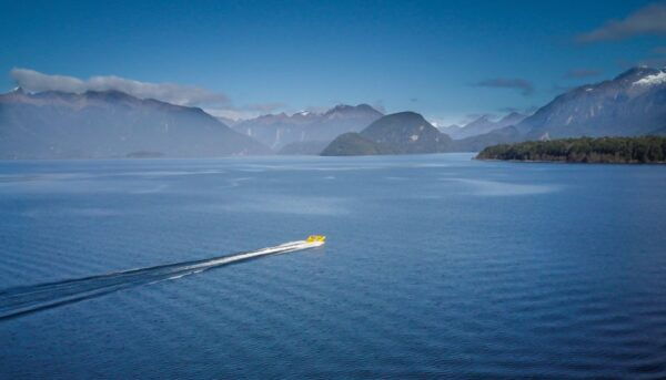 Fiordland: Jet Boat & Nature Walk Experience From Te Anau - The Sum Up