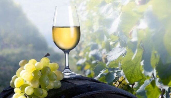 Fira: Private Guided Wine Tour of Santorini With Transfers - Wine Varieties