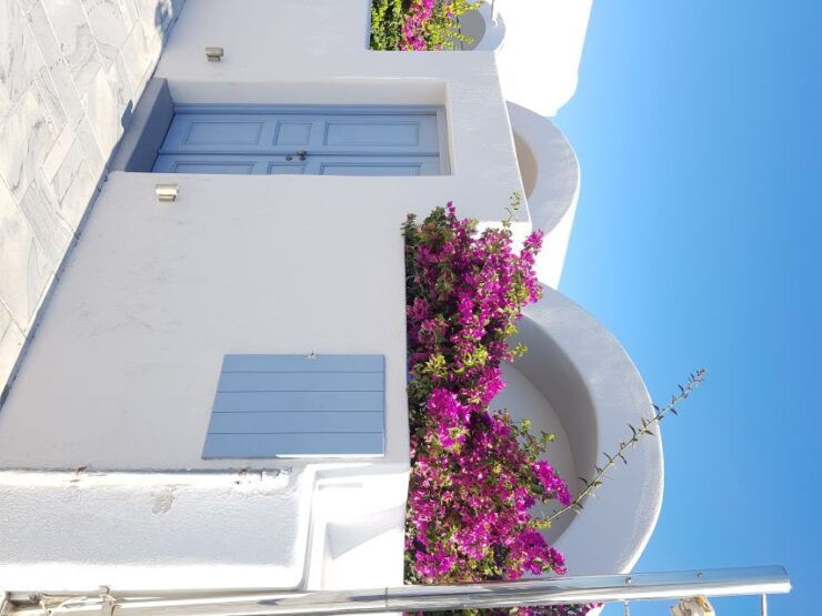 Fira: Santorini Shore Excursion With Guide - Experience Highlights