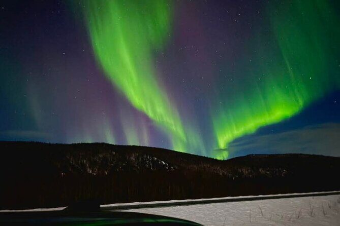 Fire & Ice: Chena Hot Springs, Ice Museum + Aurora Adventure - Good To Know