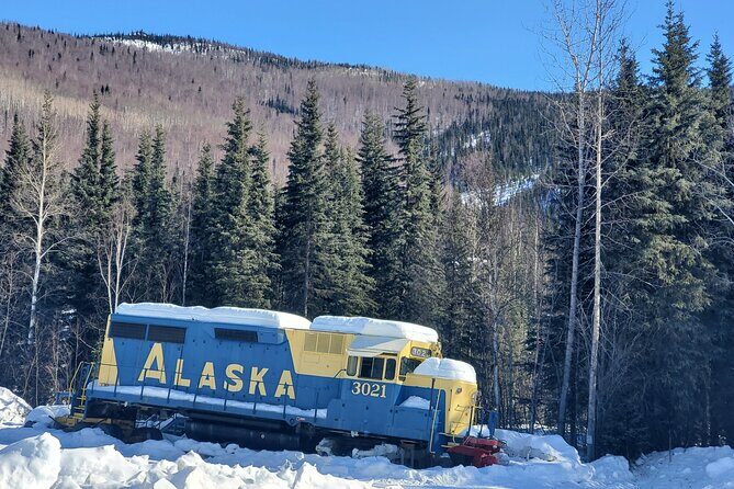 Fire & Ice: Chena Hot Springs, Ice Museum + Aurora Adventure - Transportation, Duration, and Value