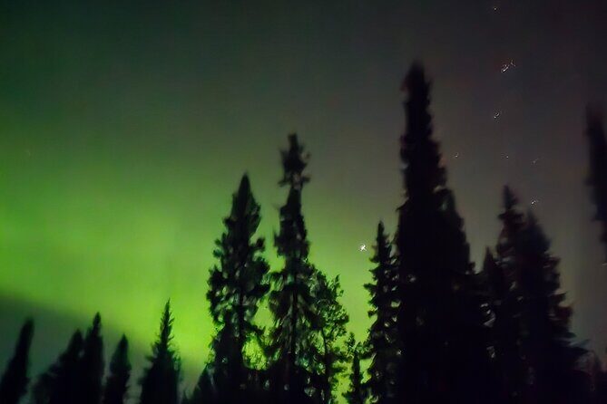 Fire & Ice: Chena Hot Springs, Ice Museum + Aurora Adventure - Final Thoughts