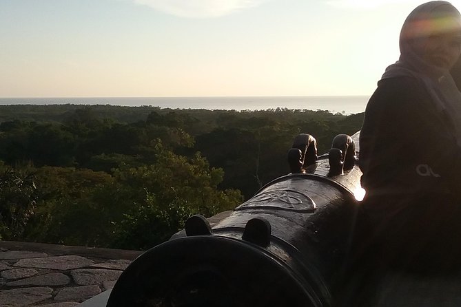 Fireflies and Kuala Selangor Tour Including Dinner - Pricing and Booking