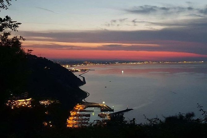 Fireflies and Lanterns in the Monte San Bartolo Park - Private Tour - Tour Details
