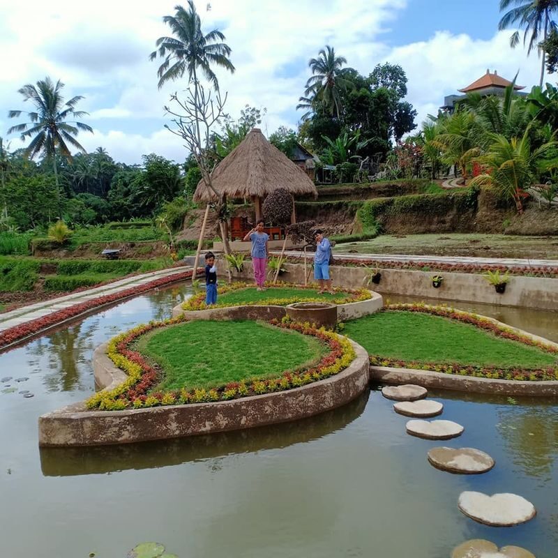 Fireflies Garden With Ubud Highlight & Kintamani Cafe Tour - Is the price good value?