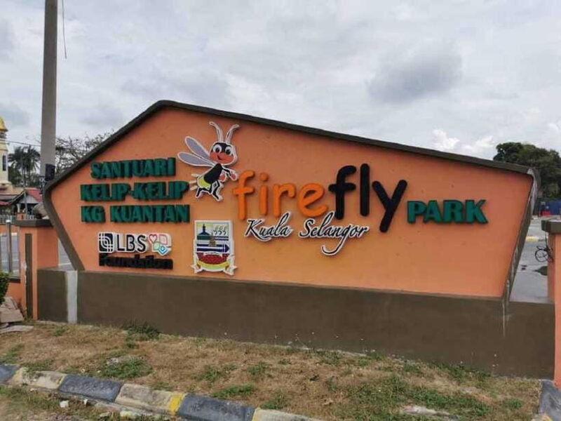 Firefly, Eagle Feeding, and Blue Tears Kuala Selangor Tour - FAQs