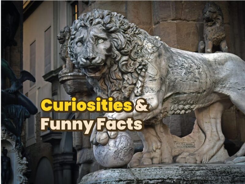 Firenze: Digital Guide made by a Local for your walking tour - Flexibility and Customization