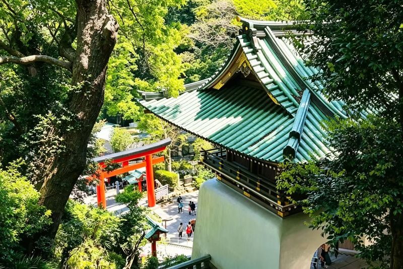 Fireworks Limited | Atami Kamakura/Atami Hakone Fireworks Festival Day Trip | Departing from Tokyo - Is the price worth it?