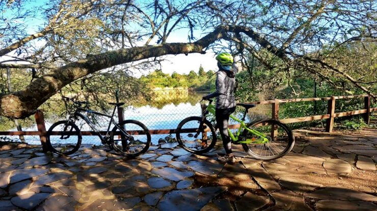 Firgas: Gran Canaria Forest Mountain Bike Tour - Activity Details