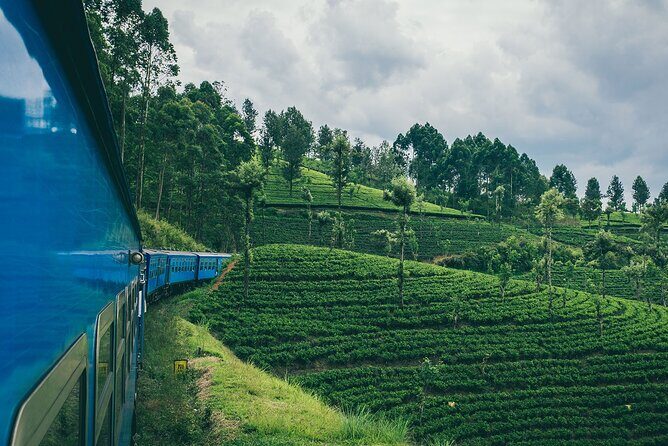 First Class Scenic Train Ticket From Kandy To Ella - An In-Depth Look at the Kandy to Ella Scenic Train Experience