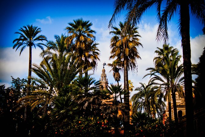 First Day in Sevilla. Private Tour - The Sum Up