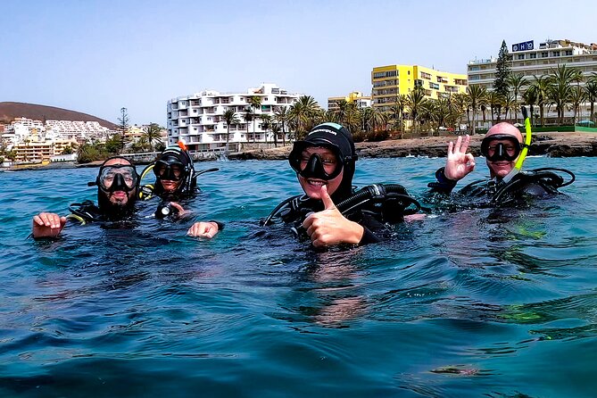 First Dive Experience in Tenerife - The Sum Up