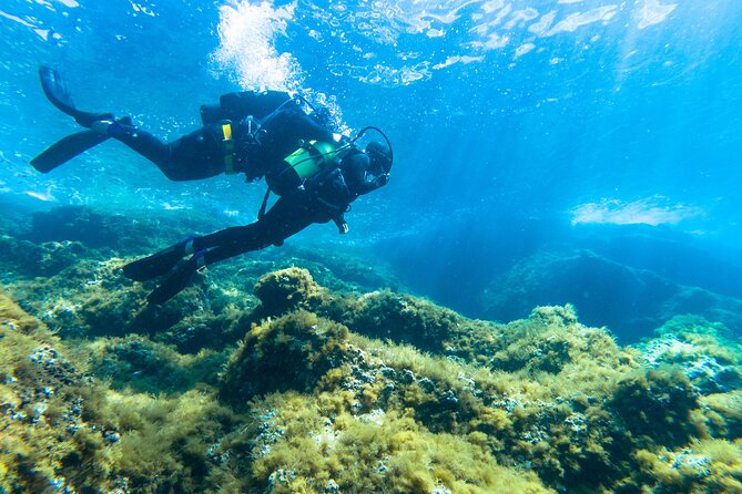 First Dive in Nice - Meeting and Pickup