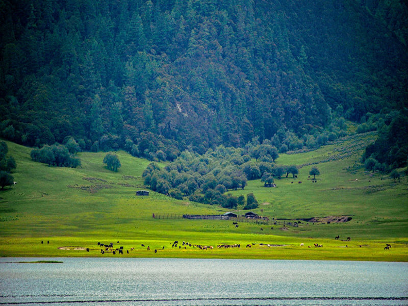 First Encounter with Yunnan 7/9-Day Tour (Round trip from Kunming + Stone Forest + Shaxi + Dali + Shangri-La + Lugu Lake) - What the price covers, and what it does not