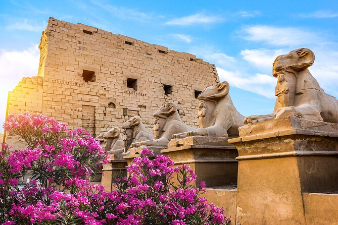 First Impression of Luxor-Explore Secrets of Luxor by Horse Carriage - Directions to the Meeting Point