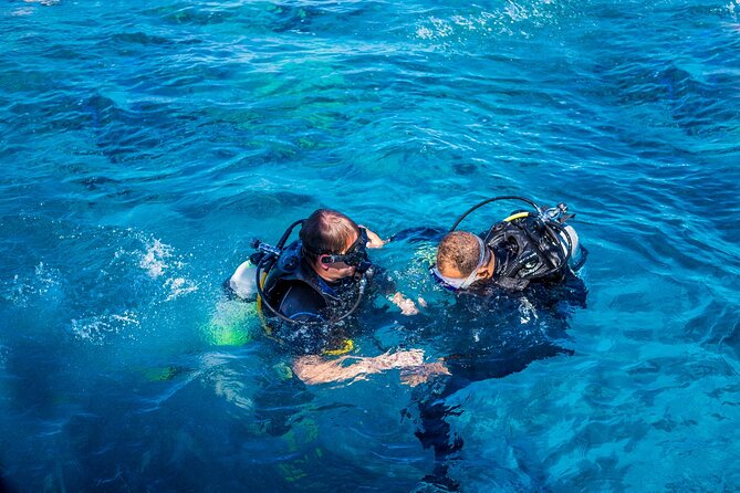 First Scuba Diving Session in Genoa - What to Expect