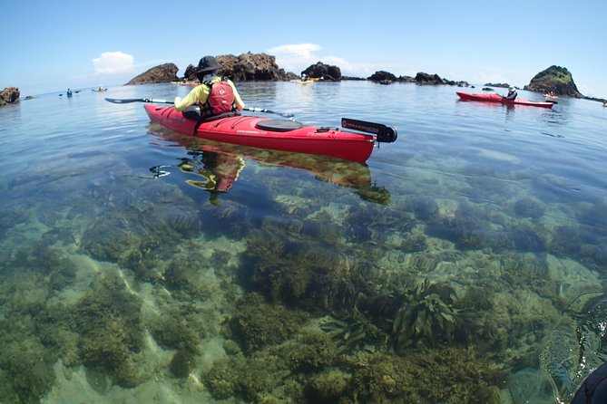 First Seakayak Tour - Additional Information