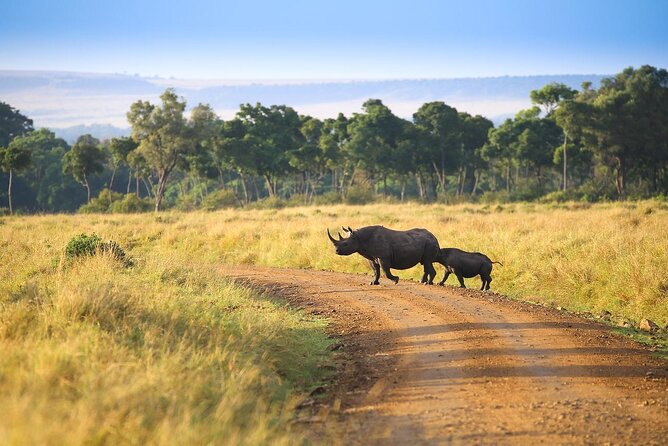 First Time Africa Safari - Health Recommendations and Private Tours