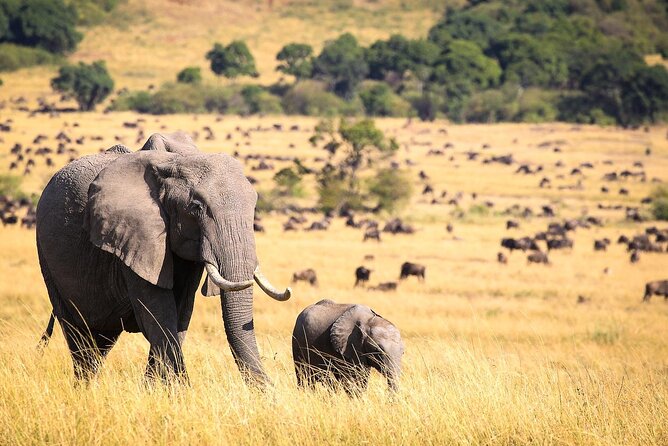 First Time Africa Safari - Frequently Asked Questions