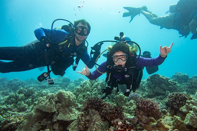 First Time Introductory Scuba Dive - Cancellation Policy and Weather Considerations