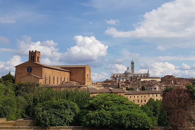 First Time Siena Medieval Tuscany Private Half Day Tour - Reviews