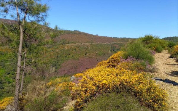Fisgas De Ermelo - a Hike Like No Other in Northern Portugal - Participant Requirements