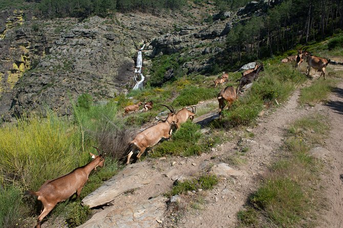 Fisgas De Ermelo Trail - Trail Difficulty