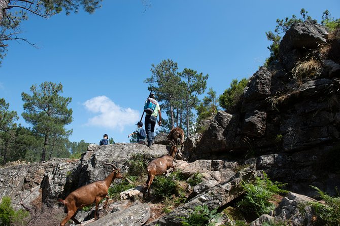 Fisgas De Ermelo Trail - Common Questions