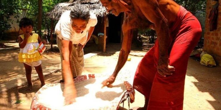 Fish, Cook & Enjoy a Sri Lankan Lunch at a Village House - Traditional Lake Fishing Adventure