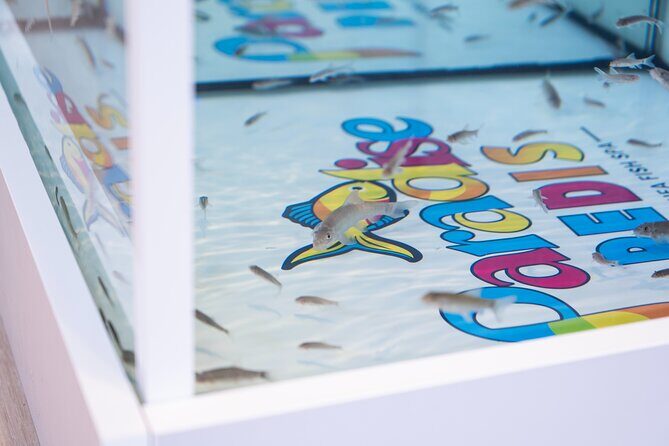 Fish, Fun & Feet Caribbeans Largest Fish Spa Experience! - FAQs