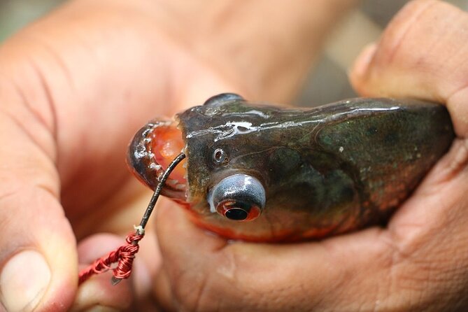Fish in the Amazon River - Fishing Equipment and Techniques