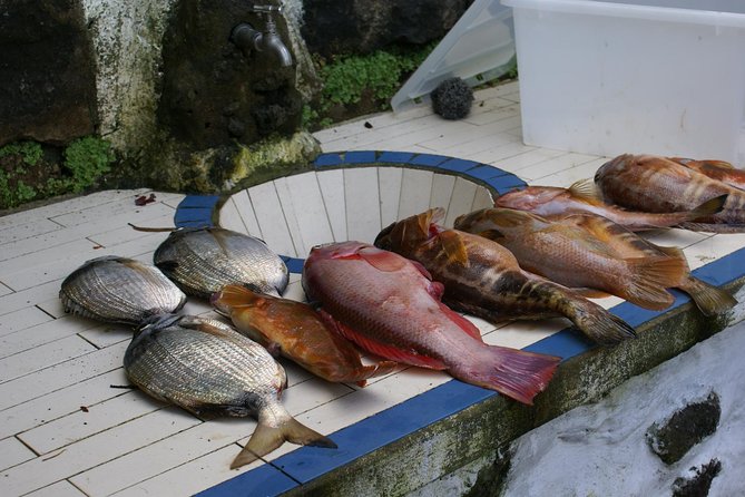 Fish In the Azores - The Sum Up